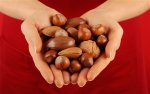 nuts_2740846b.jpg