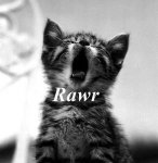 Rawr Cat.jpg