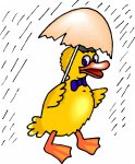 cartoon-ducks-walking-in-the-rain.jpg cartoon-ducks-walking-in-the-rain.jpg