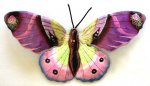 Butterfly_9.jpg