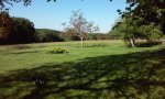 Jardin en France.jpg