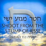Chet-Shoot-From-The-Stump-Of-Jesse-300x300.jpg