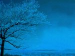 tree-in-light-blue.jpg