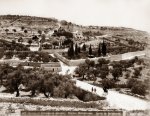 Garden of Gethsemane with Mt. of Olives in background, c. 1900.jpg
