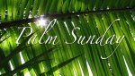 Palm-Sunday.jpg