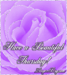 beautiful_thursday_purple_rose.gif