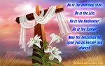 easter-comments-9.jpg