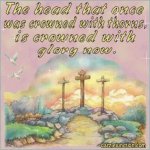 crowned-with-thorns.jpg