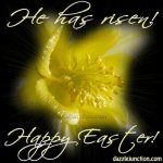 easter-flower.jpg
