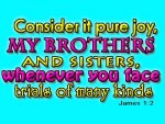 Consider-it-pure-joy-my-brothers-and-sisters-whenever-you-face-trials-of-many-kinds.jpg