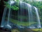 native-waterfall-gush-serene.jpg