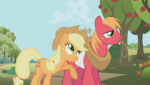 320px-Applejack_and_Big_Mac_S1E04.png
