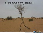 Run, Forest!.jpg