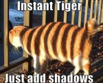 Instant Tiger.jpg