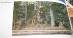 123029d1435379595-9-11-money-folding-youll-want-see-owlshrine.jpg