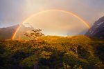 Double-Rainbow-Wallpapers.jpg