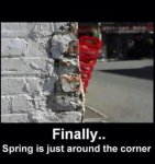 spring's around.jpg