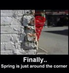 spring's around.jpg