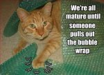 funny-animals-dumpaday-28.jpg
