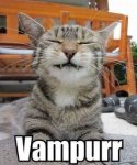 Vampurr Cat.jpg