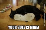 Your Sole.jpg