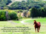 Ephesians 2v8-9.jpg