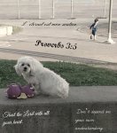 Proverbes 3,5.jpg Proverbes 3,5.jpg