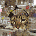 227035xiktrwi02p.gif 227035xiktrwi02p.gif