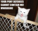 puny defenses.jpg