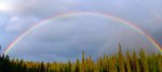 rainbow over forest.jpg