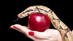 temptation-640-360.jpg