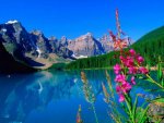 837377-bigthumbnail.jpg