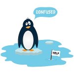 Confused-Penguin-Google-Update.jpg