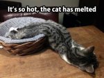 melted.jpg