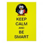 keep_calm_and_be_smart_bright_colorful_penguin_poster-r7e3fc20543ef433b83082ea05f56c31d_kth_8byv.jpg