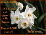 Psalm 103v22.jpg