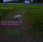 Proverbes 31,30.jpg