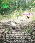 Flocon, John 3,16.jpg