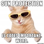 cat-suggest-sun-protection.jpg