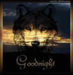 GoodnightWolfAni2T.gif