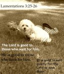 Lamentations 3,25-26.jpg