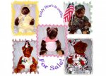 bearcollage.jpg