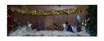 nativity.jpg