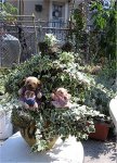 IMG_1074 11.jpg
