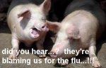 funny-pigs-image.jpg funny-pigs-image.jpg