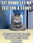 Cat-Confessions.jpg Cat-Confessions.jpg