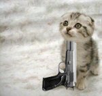 Funny+Cats+With+Guns_4.jpg