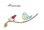 Discover.jpg