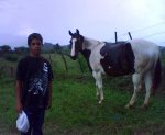 Josh+Horse.jpg