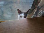 20150504_195724.jpg
